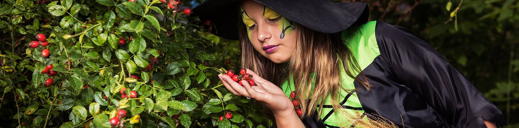 Schminken Heks Halloween Schminken Heks Halloween