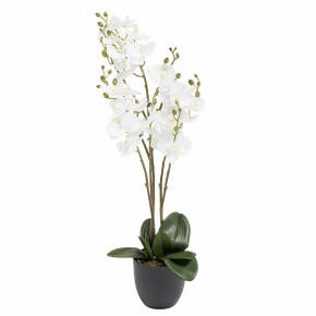 Witte Kunstmatige Orchidee 70cm