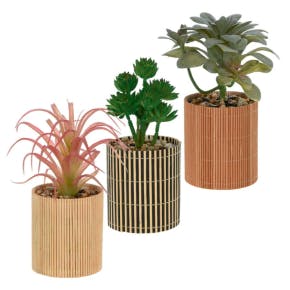 Kunstplant In Bamboe Pot 19 Cm (1 Van Assortiment)