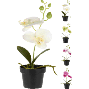 Kunstmatige Orchidee In Pot (assortiment)