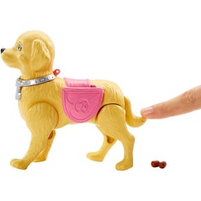 Barbie Walk & Potty Puppy Pop