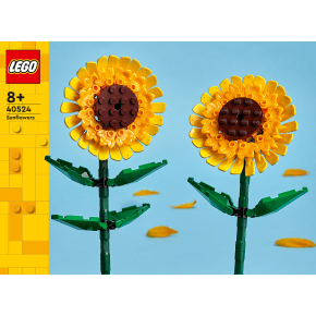 Lego Iconic Tournesols (40524)