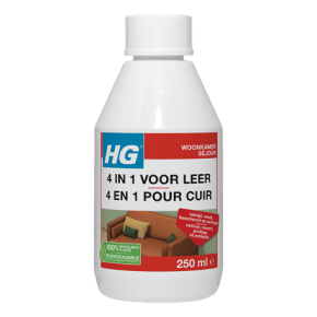 Hg 4 En 1 Pour Cuir 250ml