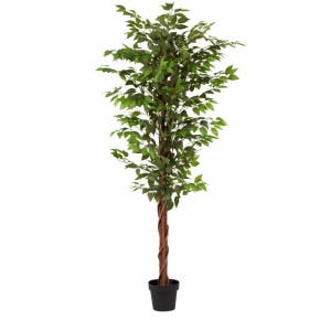 Arbus Ficus Artificiel 