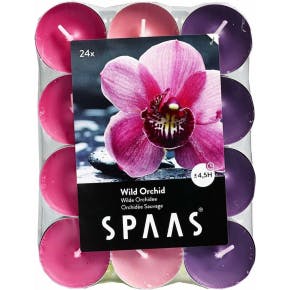 Spaas Bougies Chauffe-plat Orchidée