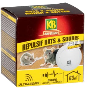 Répulsif rats et souris kb à ultrasons