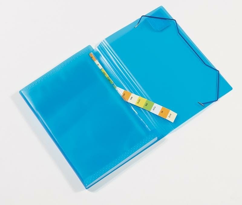 Delamiya Classeur à Compartiments A4 Portable A4 Avec 12 Compartiments