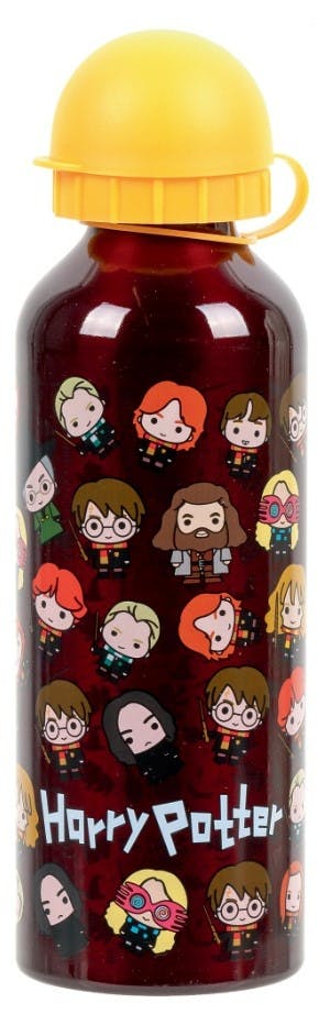 Bouteille Harry Potter 500 Ml