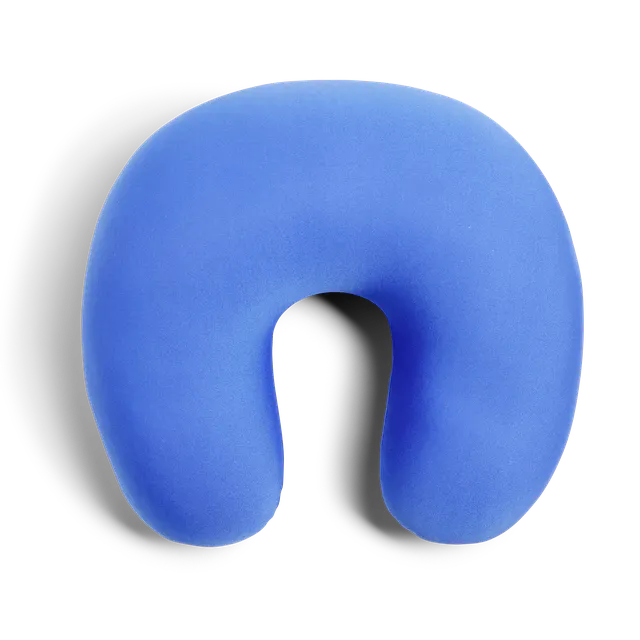Brookstone Coussin De Voyage En Microbilles Léger Et Pelucheux Avec Poche Pour Téléphone - Bleu
