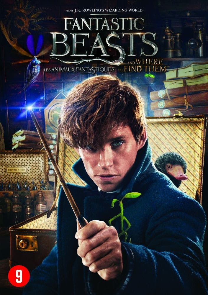 Dvd Fantastic Beasts And Where To Find Them (NL/FR)