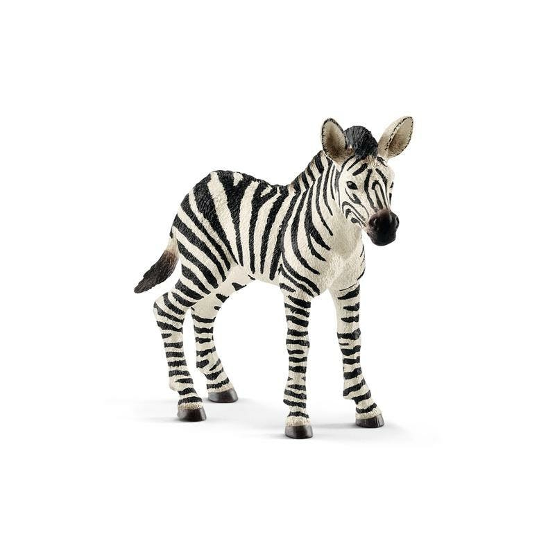 Schleich Wild Life Zebra, Jong - 14811