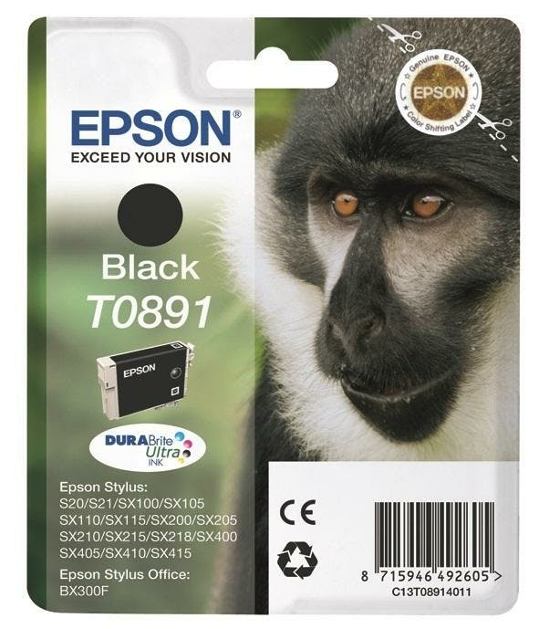 Epson T0891 Zwart