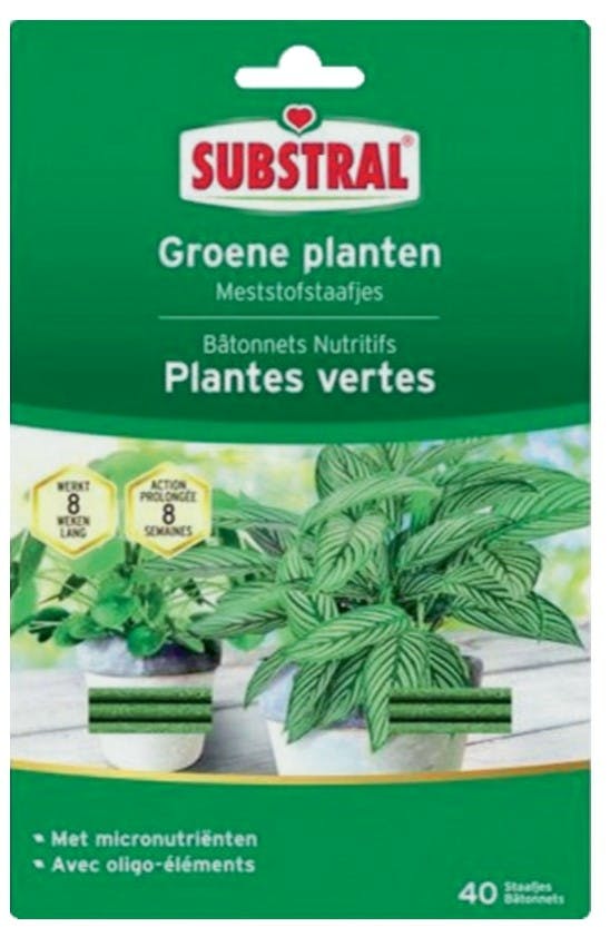 Substra Green Plant Fertilizer Sticks 40 Stuks