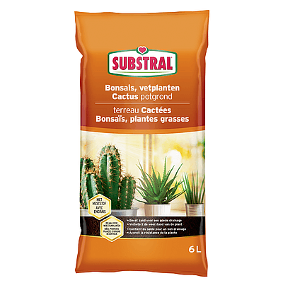 Terreau Cactus Et Bonsaïs 6 L Substral