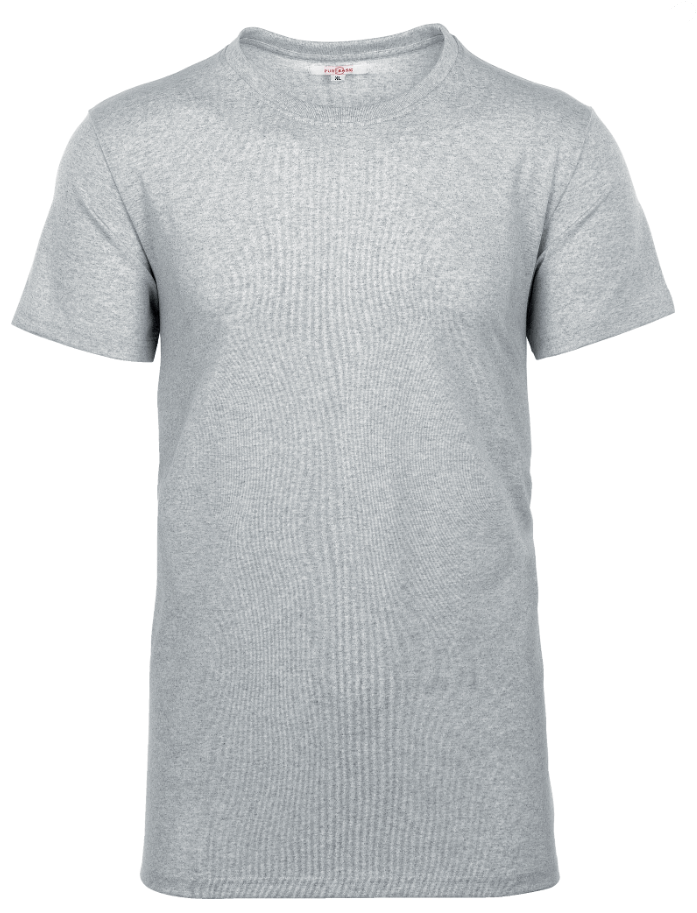 Tee-shirt Gris Manches Courtes Homme