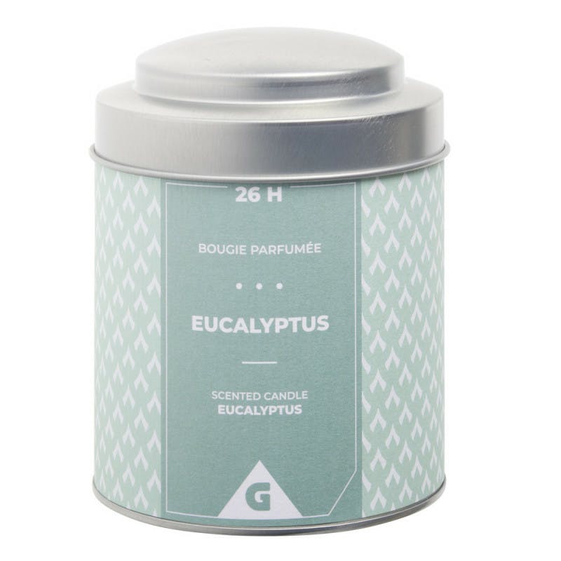 Bougie Parfumée Dans Un Pot En Métal Gris/vert - Senteur Eucalyptus